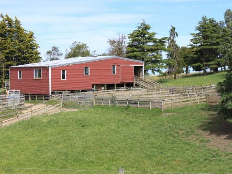 145 Adam Sutherland Road Palmerston_13