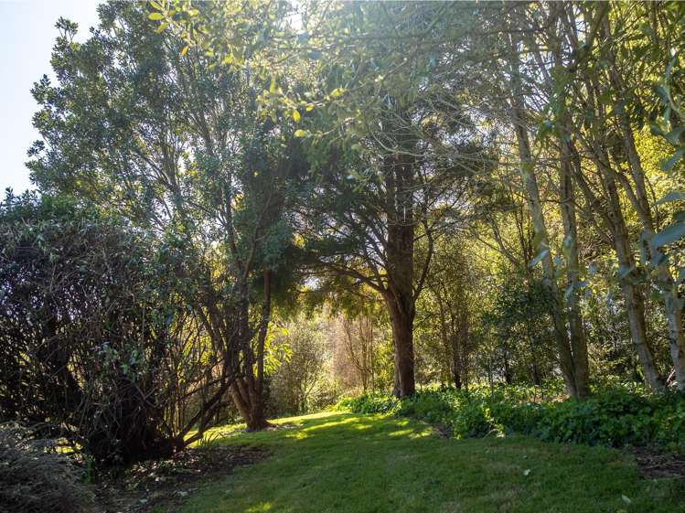 186 Flume Road Cambridge_28