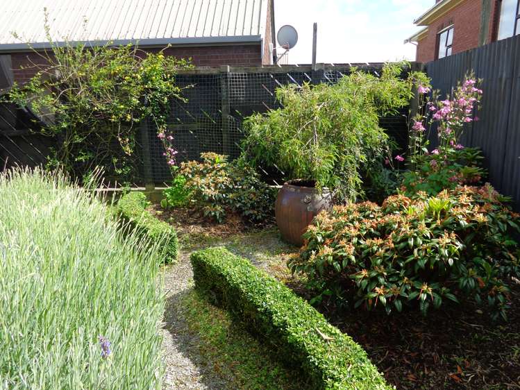 23 Yarmouth Street Balclutha_17