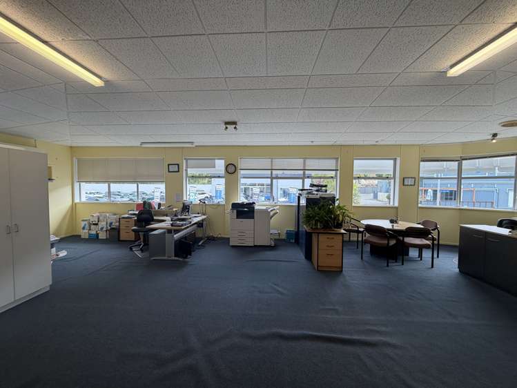 Area 9/3 Clive Square West Napier South_1