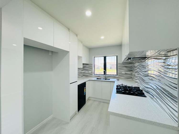 66A Maplesden Drive Clendon Park_2