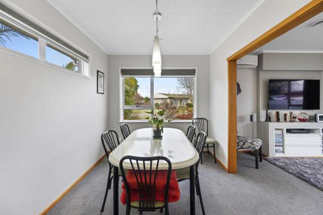 36 Southwark Avenue Tamatea_3