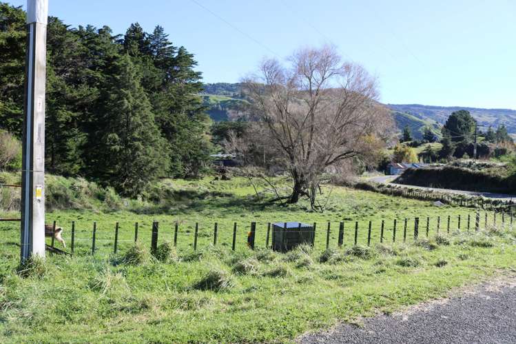 - Te Pohue Loop Road_3