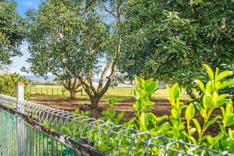4784 State Highway 12 Kaikohe_30