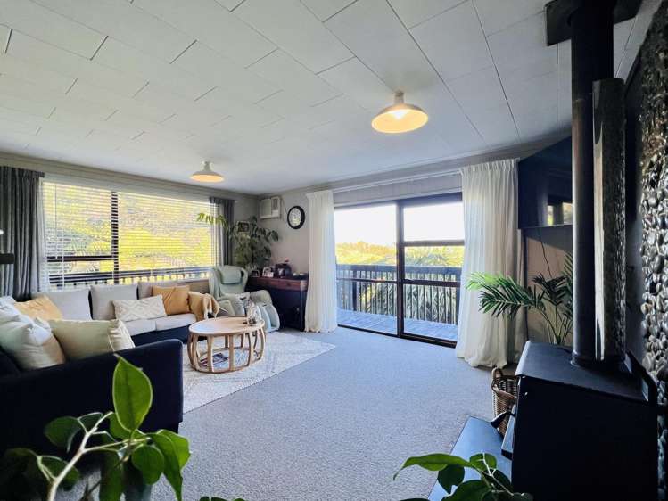 390 Driving Creek Road_3