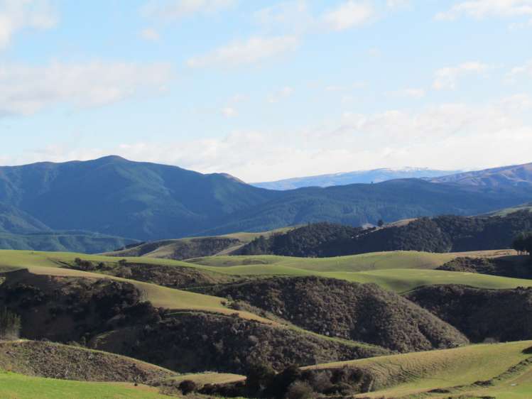 168 Remarkable Road Lawrence_11