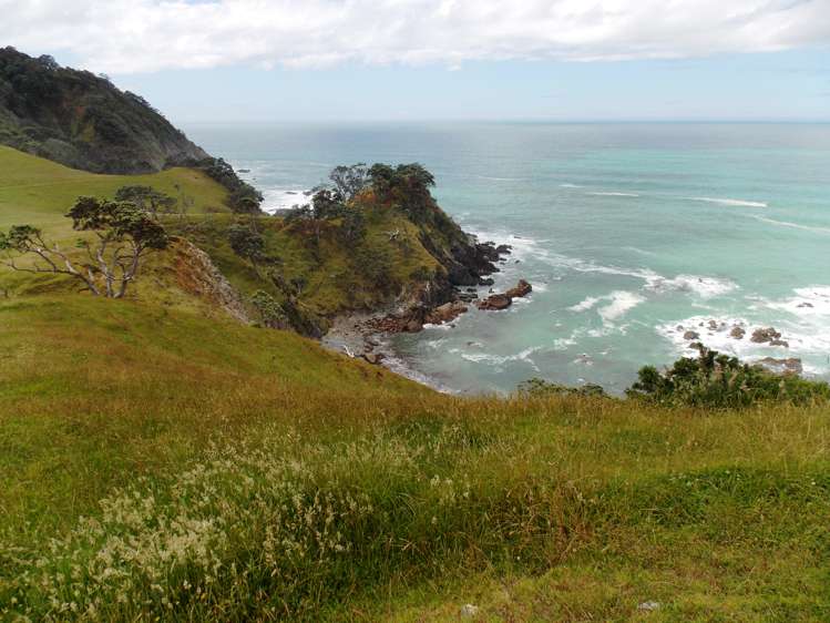 Kauri Mountain Road Whangarei_10