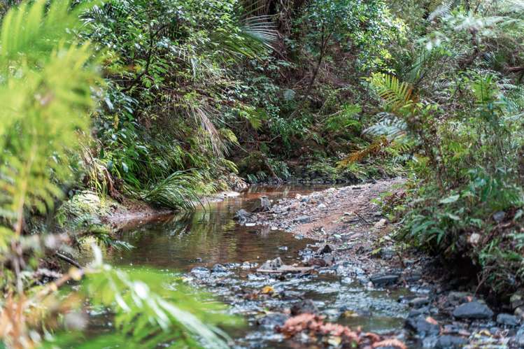 974 Cove Road Waipu_20