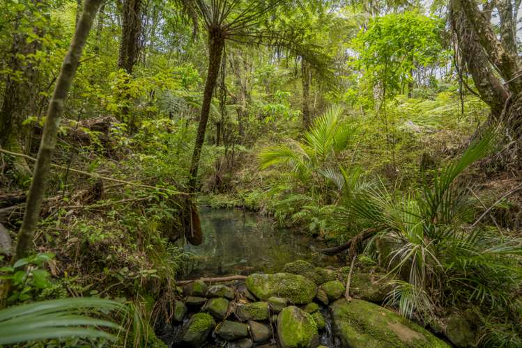 7 Tironui Place Whitianga_10