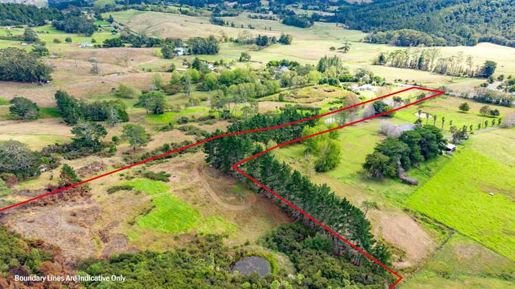 411 Pine Valley Road Dairy Flat_7