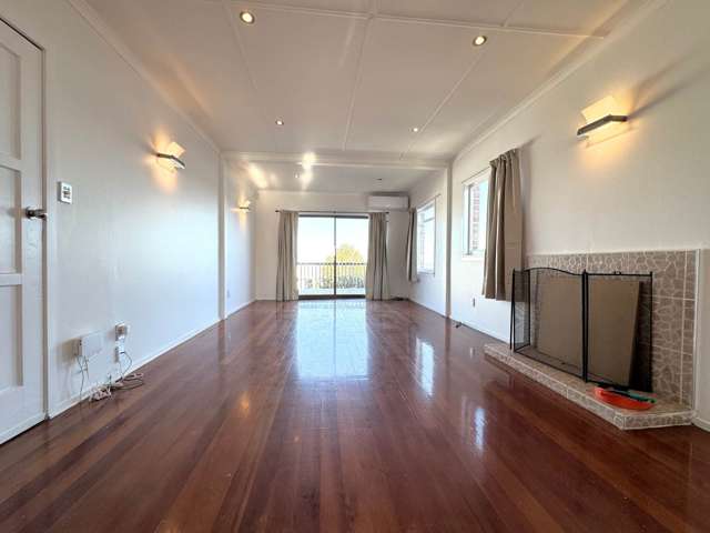 412 Hillsborough Road Mt Roskill_1