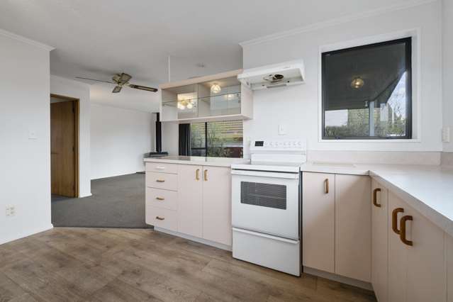 4a Moa Street Mount Maunganui_3