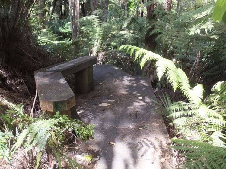 93 Tarapatiki Drive Whitianga_30