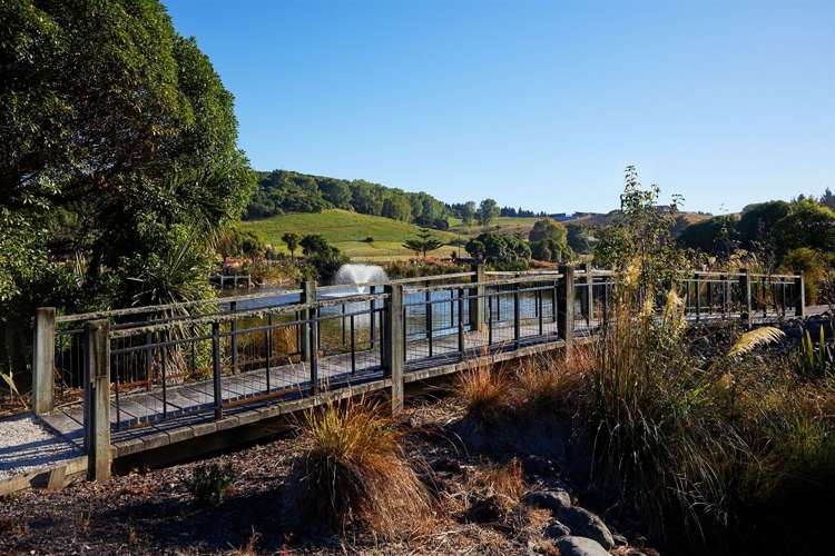 9 Mcrae Gardens Kaikoura_8