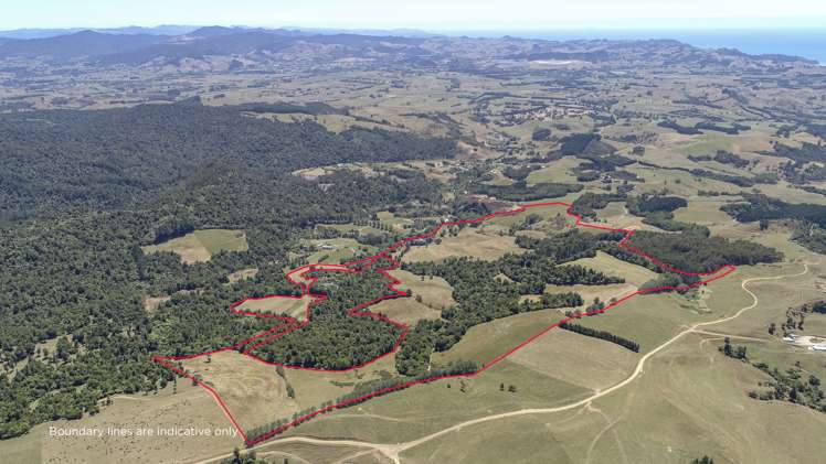 43b Walls Road Waihi_6