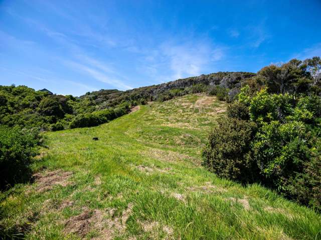 Pukematu Lane Russell_4