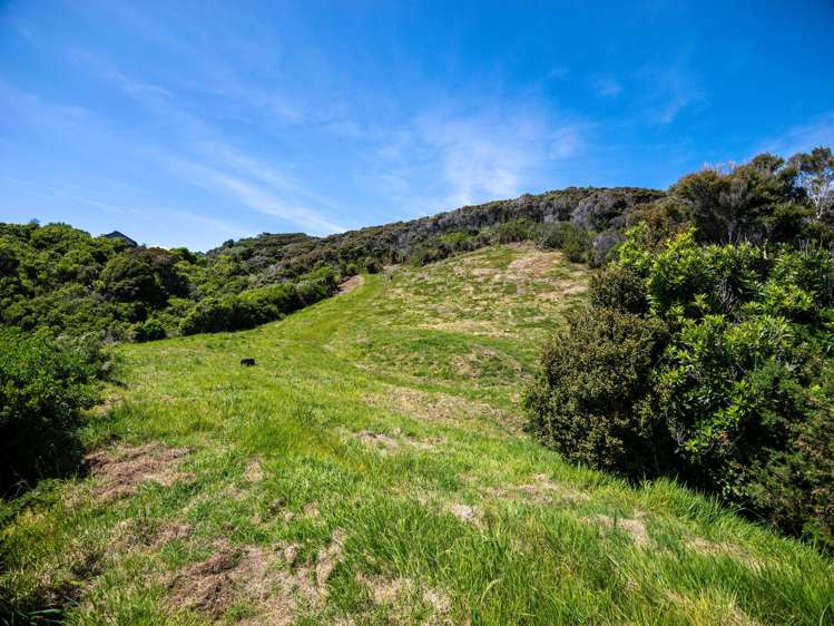 Pukematu Lane_4