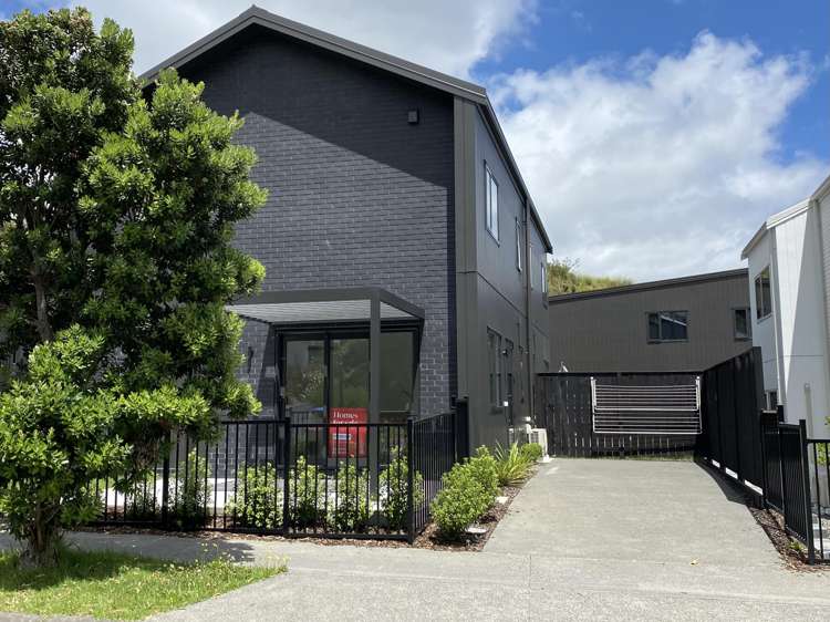 3 Hochstetter Stonefields_17