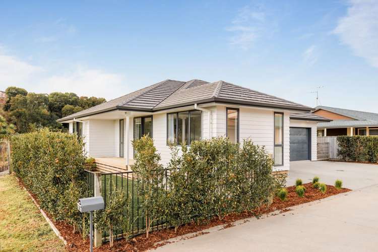 1 Pohutukawa Way Gate Pa_18
