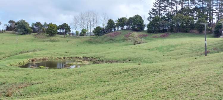 Lot/5 Wearmouth Road Paparoa_5