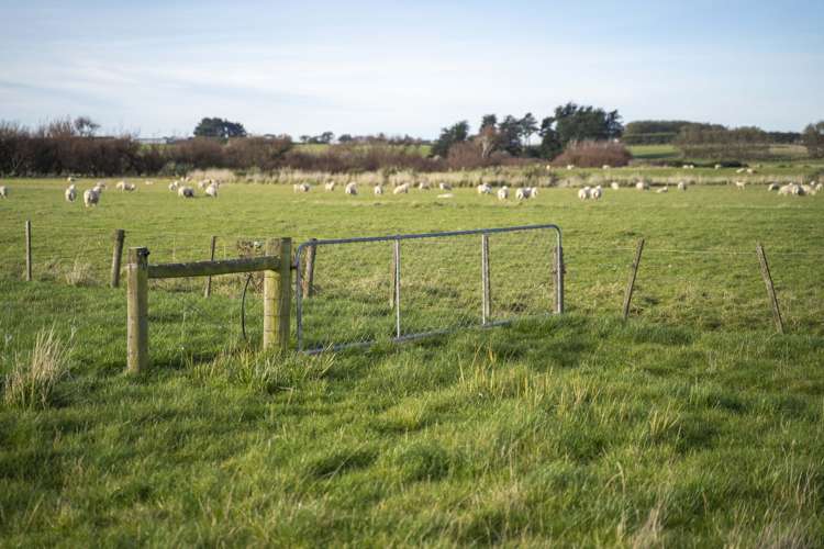 16 Factory Road Thornbury_2