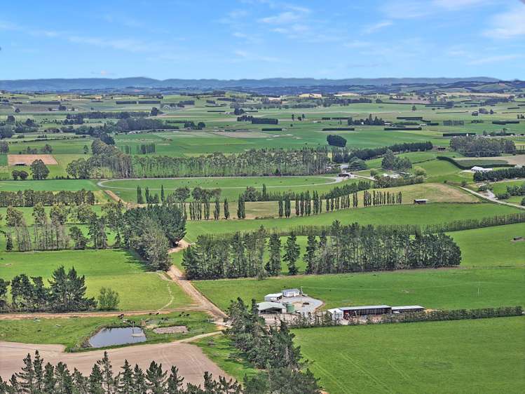 113 Scott Road Milton_17