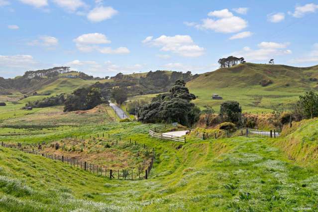 116 West Coast Road Awhitu_3