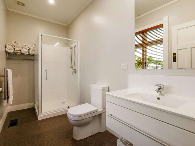 53 Brookfield Street Hamilton East_11