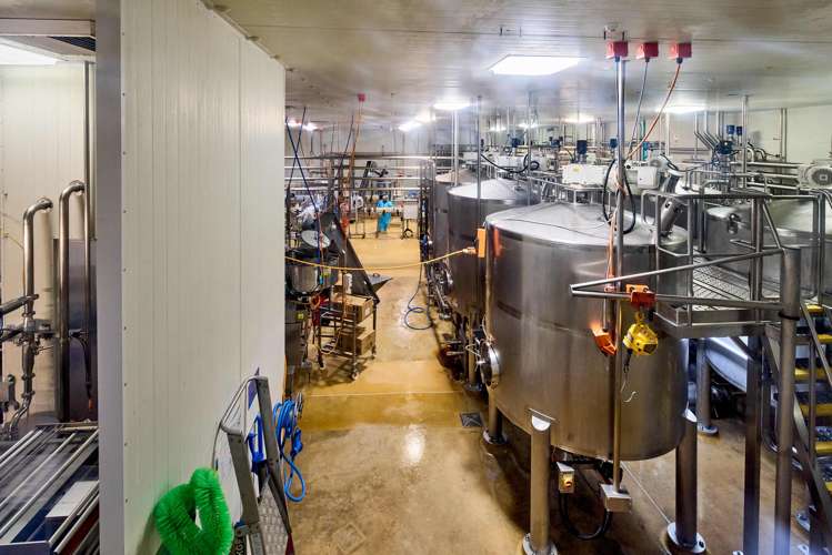 131 Gracefield Road Gracefield_13