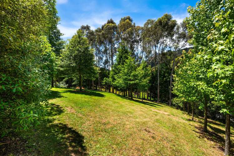 364 State Highway 1 Koromiko_27