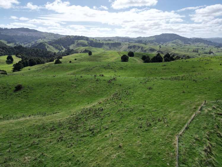 Paraketu Road Waimiha_6