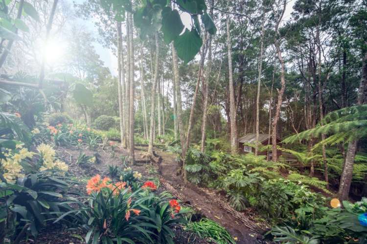 69 Pupuke Road Birkenhead_21