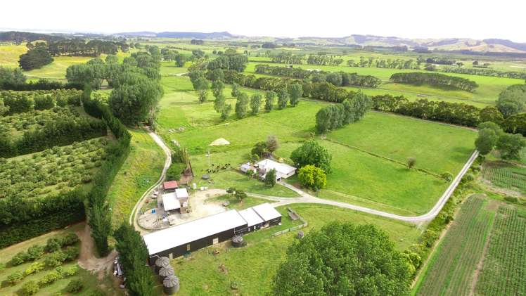 44 Te Ngaio Point Road Tapora_0