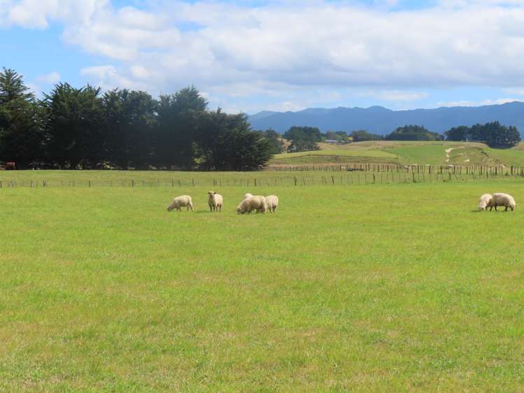 101 Umutaoroa Road_4