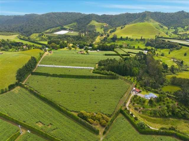 1399A No. 3 Road Te Puke_1