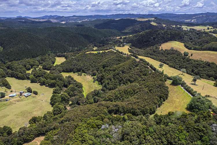 726d Ngunguru Ford Road Kiripaka_32