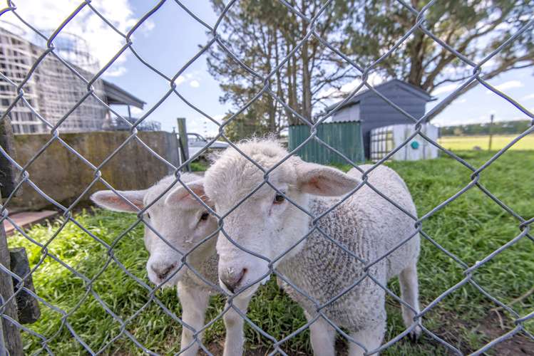 84 Prossers Road Leeston_18