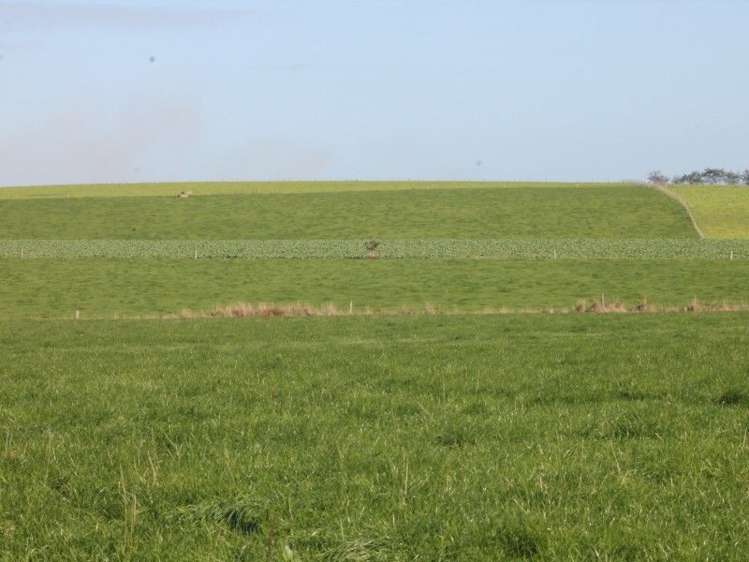 59 Oware Road Catlins Surrounds_12