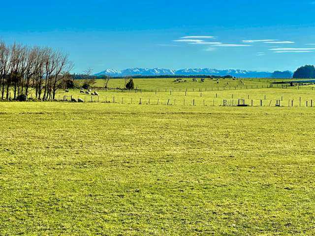 500 Woodlands South Road Rimu_4