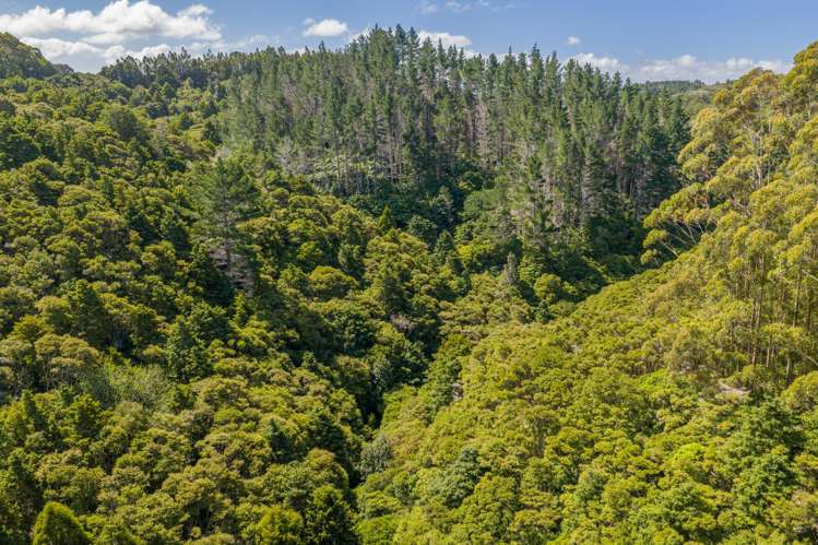 849 Owhiwa Road Parua Bay_27