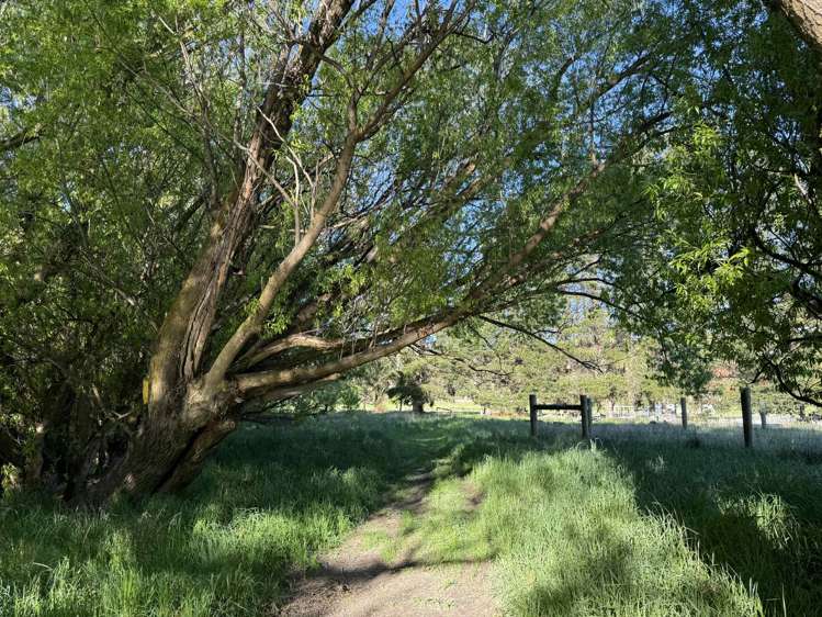 633 Ardgour Road Tarras_15