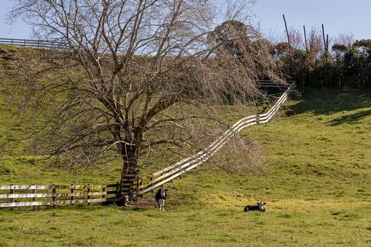 15D Junction Road (Lots 1-10) Minden_19