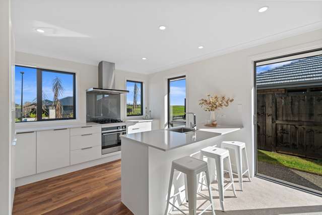 18 Harp Street Morrinsville_1