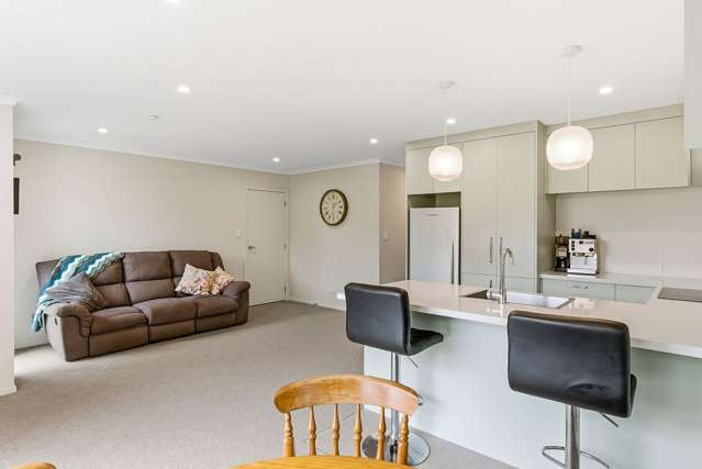 20A Argyle Avenue Levin_3