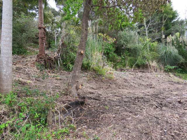 141 Parnell Street Rawene_2