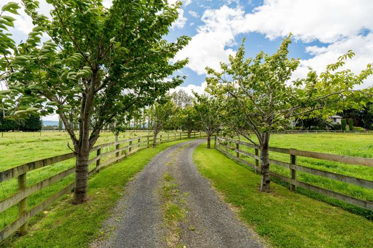 320 Gladstone Road South East Taieri_37