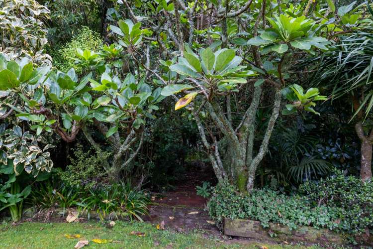 101 Daffodil Street Titirangi_26