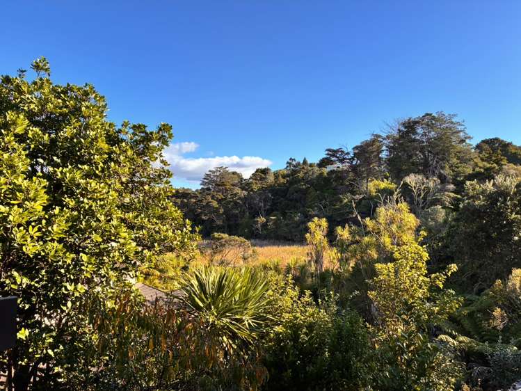 2/10 Wilding Avenue Northcote Point_10