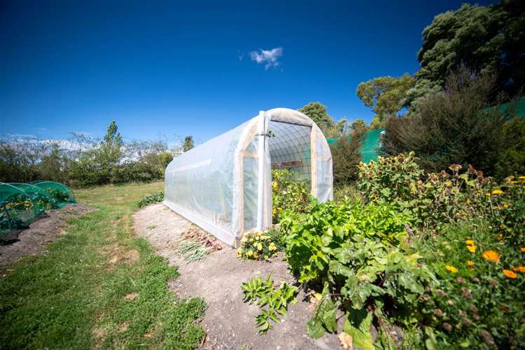 127 Redwood Valley Road Redwood Valley_34