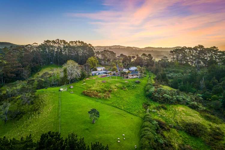 70b Coulter Road Henderson Valley_19